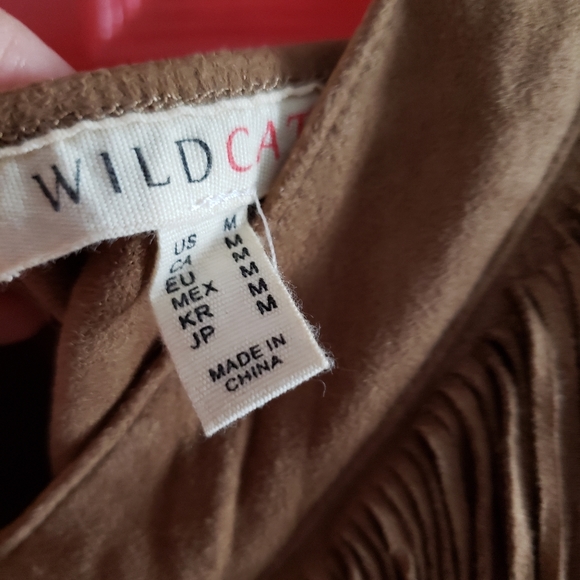 Wildcat - Picture 5 of 5